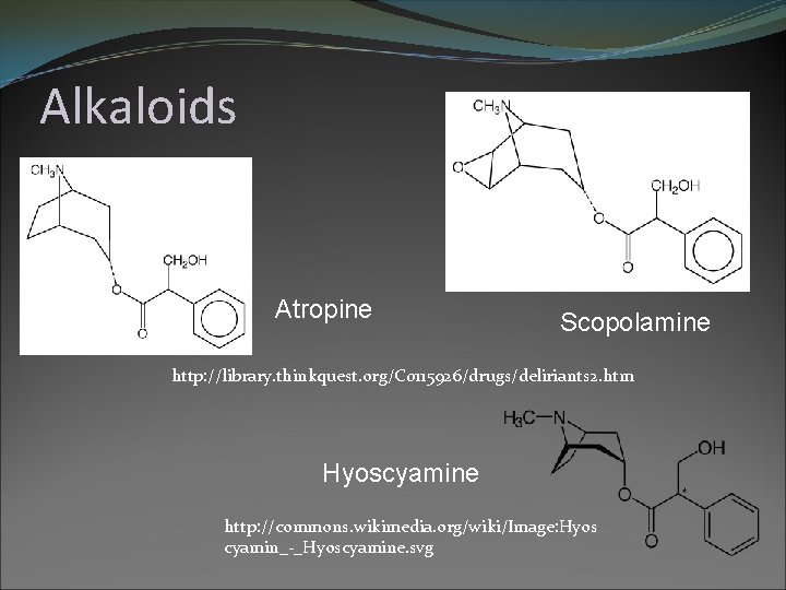 Alkaloids Atropine Scopolamine http: //library. thinkquest. org/C 0115926/drugs/deliriants 2. htm Hyoscyamine http: //commons. wikimedia.