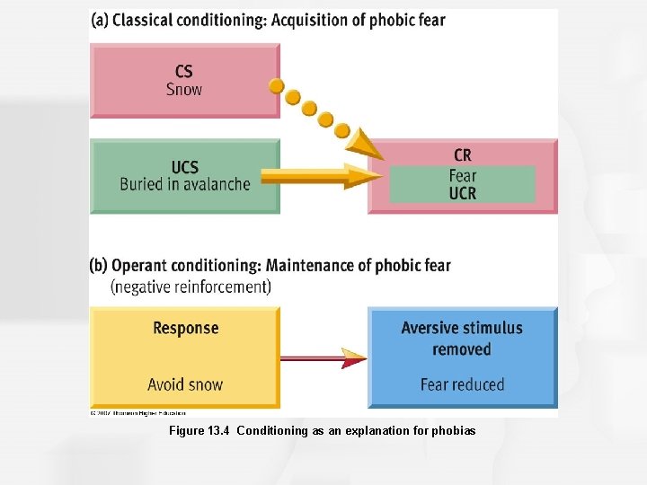 Figure 13. 4 Conditioning as an explanation for phobias 