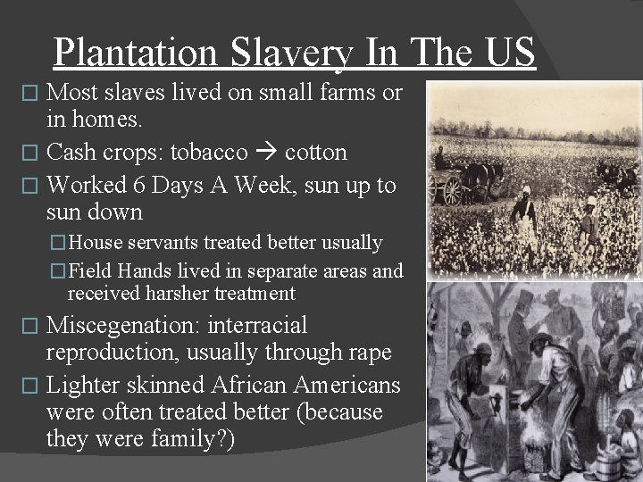 Plantation Slavery In The US Most slaves lived on small farms or in homes.