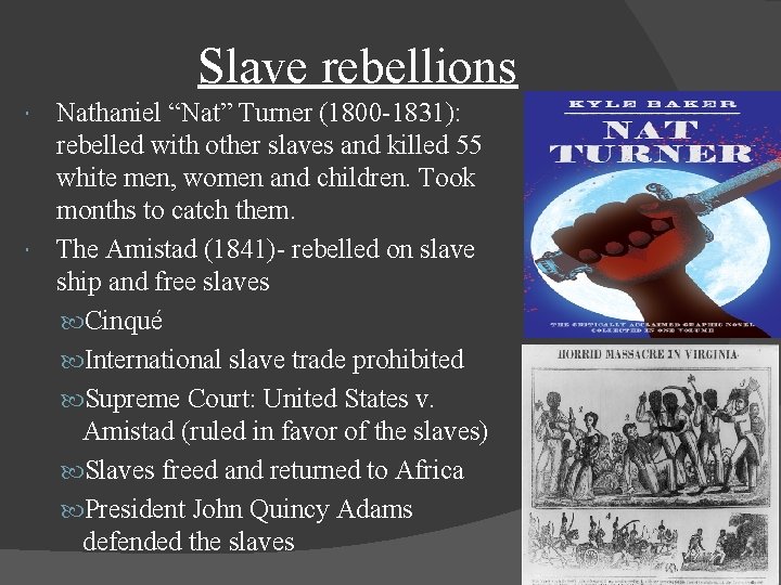 Slave rebellions Nathaniel “Nat” Turner (1800 -1831): rebelled with other slaves and killed 55