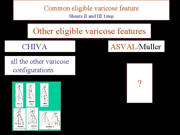 Common eligible varicose feature Shunts II and III 1 step Other eligible varicose features