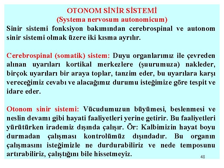 OTONOM SİNİR SİSTEMİ (Systema nervosum autonomicum) Sinir sistemi fonksiyon bakımından cerebrospinal ve autonom sinir