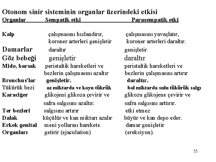 Otonom sinir sisteminin organlar üzerindeki etkisi Organlar Kalp Damarlar Göz bebeği Mide, barsak Bronchus'lar