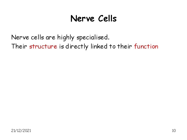 Nerve Cells Nerve cells are highly specialised. Their structure is directly linked to their