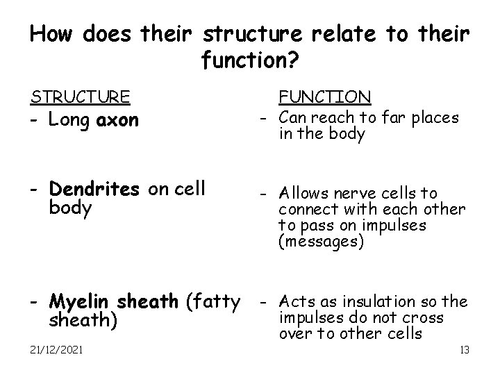 How does their structure relate to their function? STRUCTURE FUNCTION - Can reach to