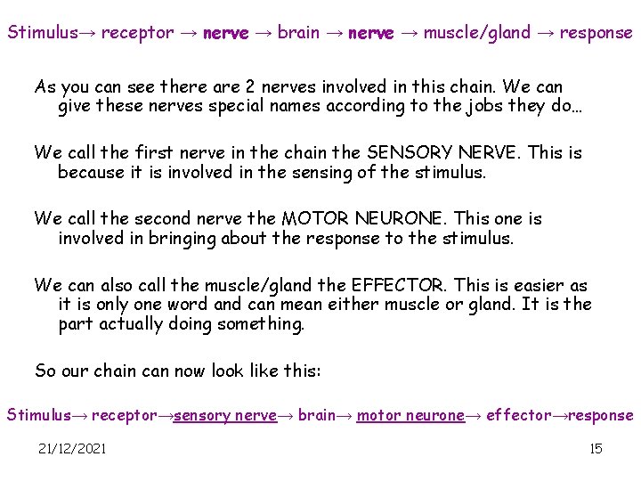 Stimulus→ receptor → nerve → brain → nerve → muscle/gland → response As you