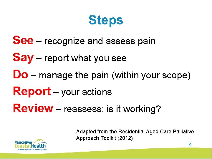 Steps See – recognize and assess pain Say – report what you see Do