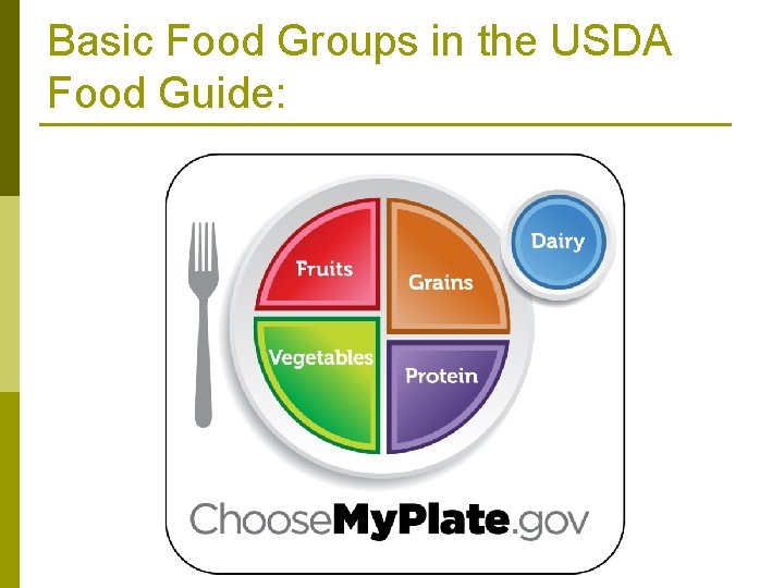 Basic Food Groups in the USDA Food Guide: 