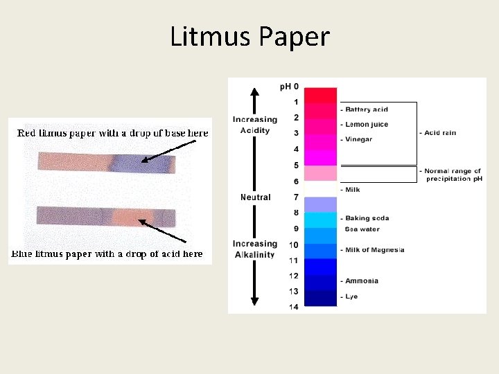 Litmus Paper 