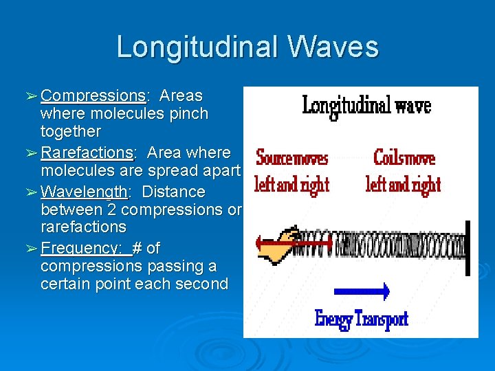 Longitudinal Waves ➢ Compressions: Areas where molecules pinch together ➢ Rarefactions: Area where molecules