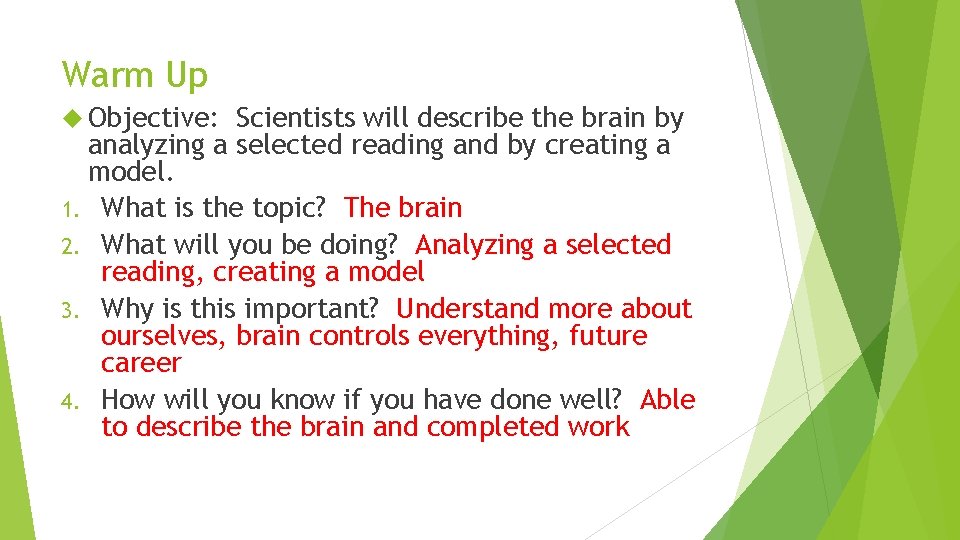 Warm Up Objective: Scientists will describe the brain by analyzing a selected reading and