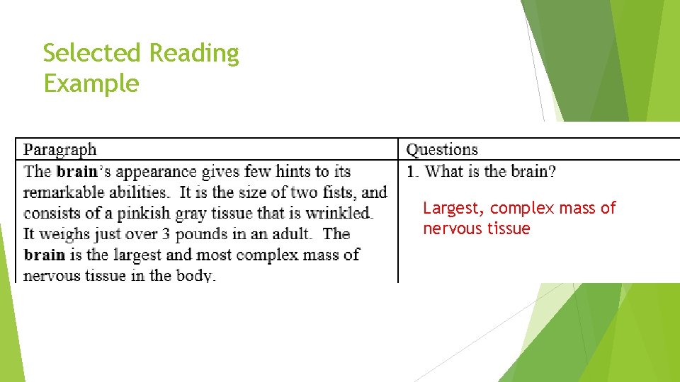 Selected Reading Example Largest, complex mass of nervous tissue 