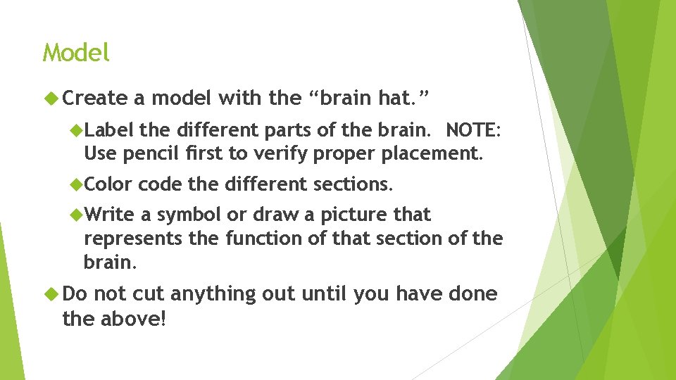 Model Create a model with the “brain hat. ” Label the different parts of