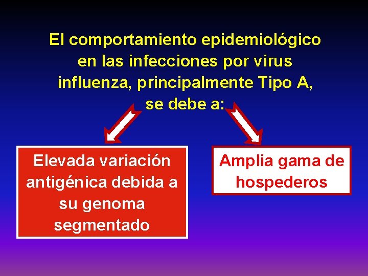 El comportamiento epidemiológico en las infecciones por virus influenza, principalmente Tipo A, se debe