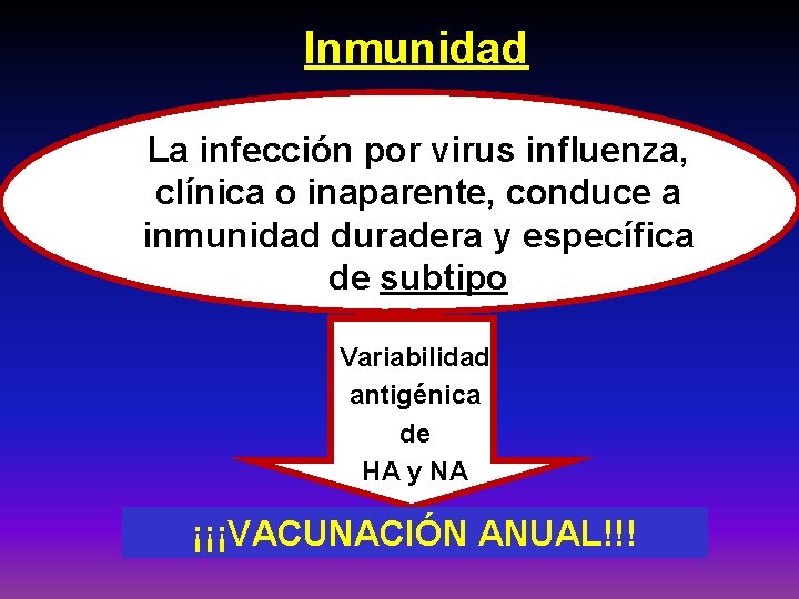 Inmunidad La infección por virus influenza, clínica o inaparente, conduce a inmunidad duradera y