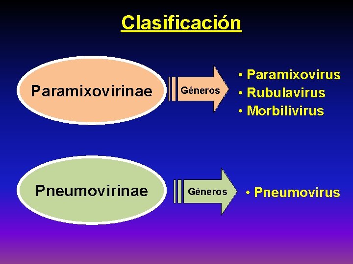 Clasificación Paramixovirinae Pneumovirinae Géneros • Paramixovirus • Rubulavirus • Morbilivirus • Pneumovirus 