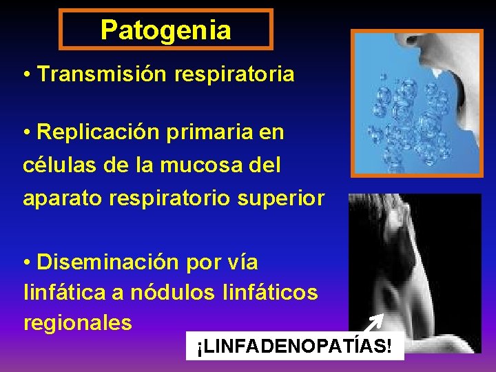 Patogenia • Transmisión respiratoria • Replicación primaria en células de la mucosa del aparato