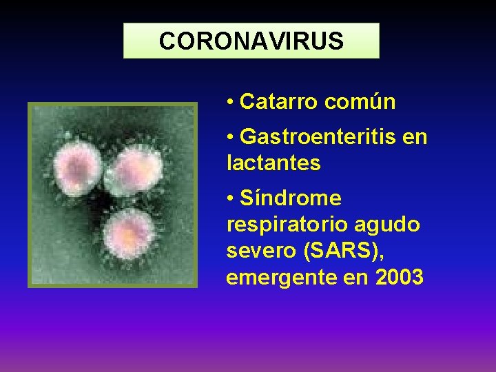 CORONAVIRUS • Catarro común • Gastroenteritis en lactantes • Síndrome respiratorio agudo severo (SARS),