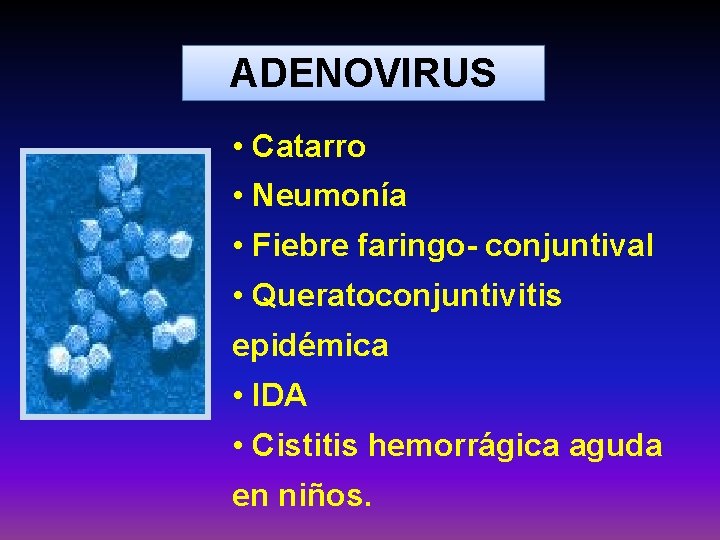 ADENOVIRUS • Catarro • Neumonía • Fiebre faringo- conjuntival • Queratoconjuntivitis epidémica • IDA