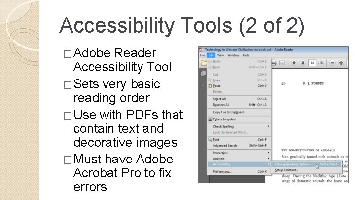 Accessibility Tools (2 of 2) � Adobe Reader Accessibility Tool � Sets very basic