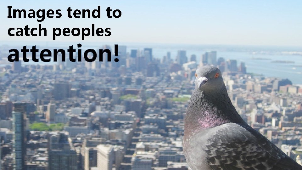 Images tend to catch peoples attention! 