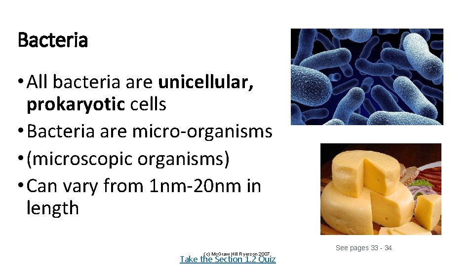 Bacteria • All bacteria are unicellular, prokaryotic cells • Bacteria are micro-organisms • (microscopic