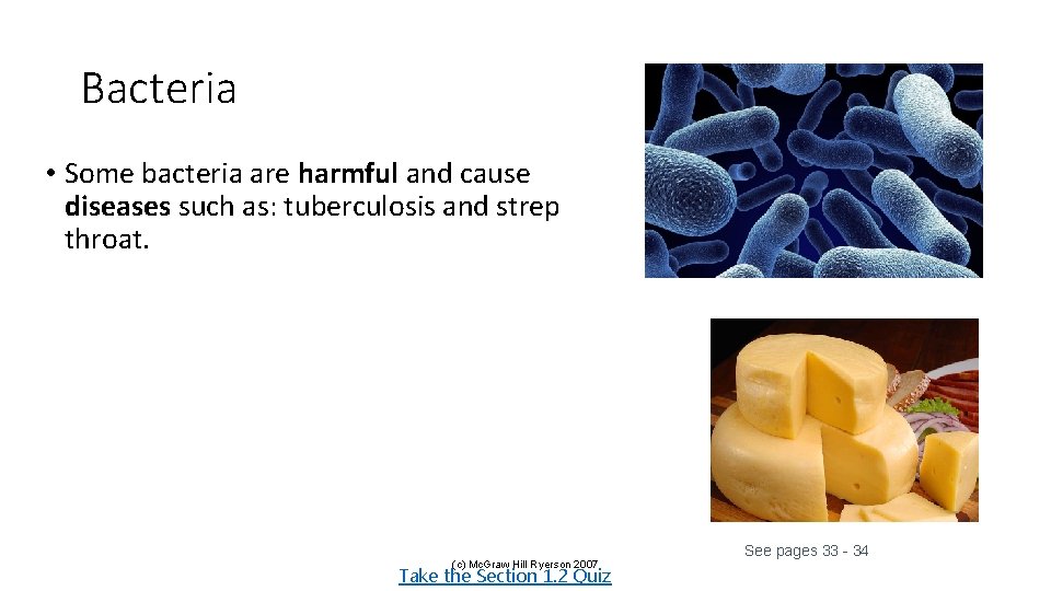 Bacteria • Some bacteria are harmful and cause diseases such as: tuberculosis and strep