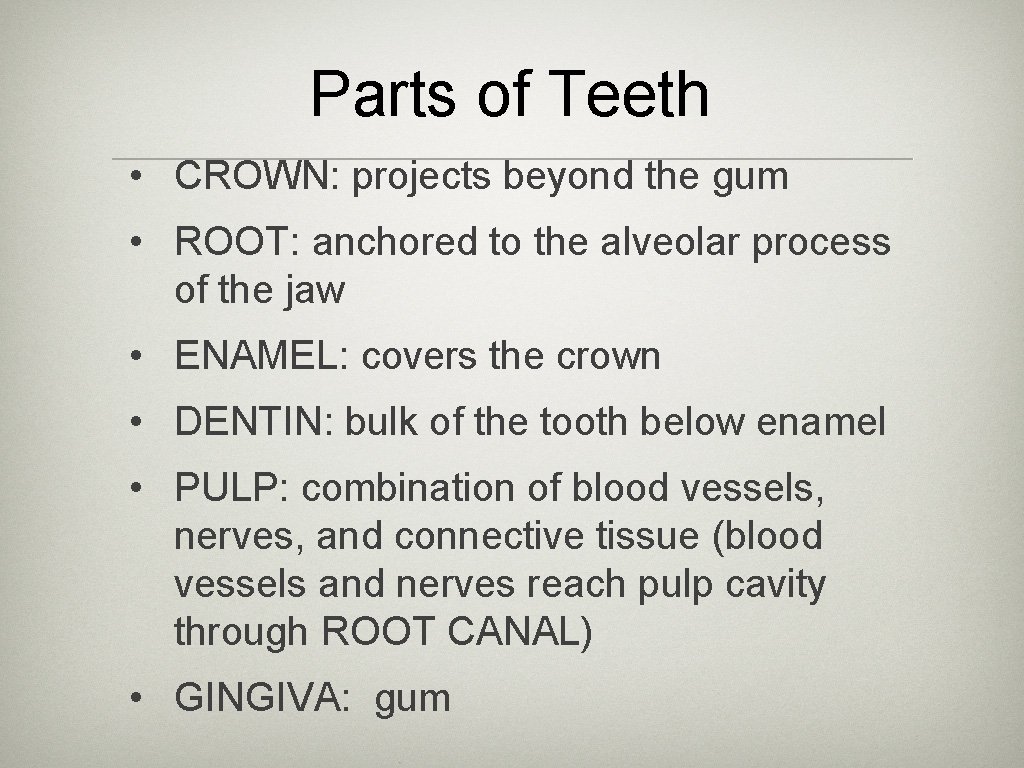 Parts of Teeth • CROWN: projects beyond the gum • ROOT: anchored to the