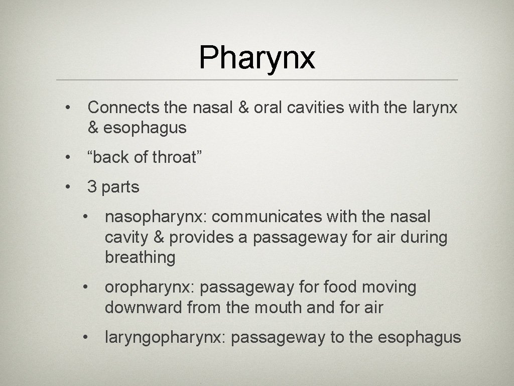 Pharynx • Connects the nasal & oral cavities with the larynx & esophagus •