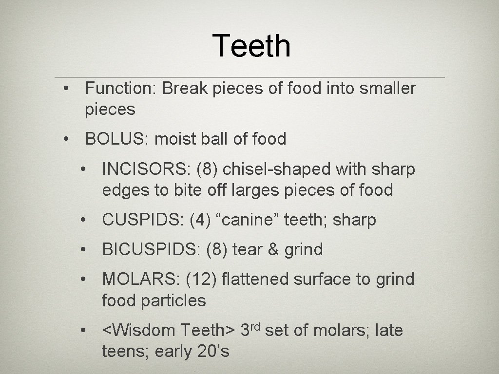 Teeth • Function: Break pieces of food into smaller pieces • BOLUS: moist ball