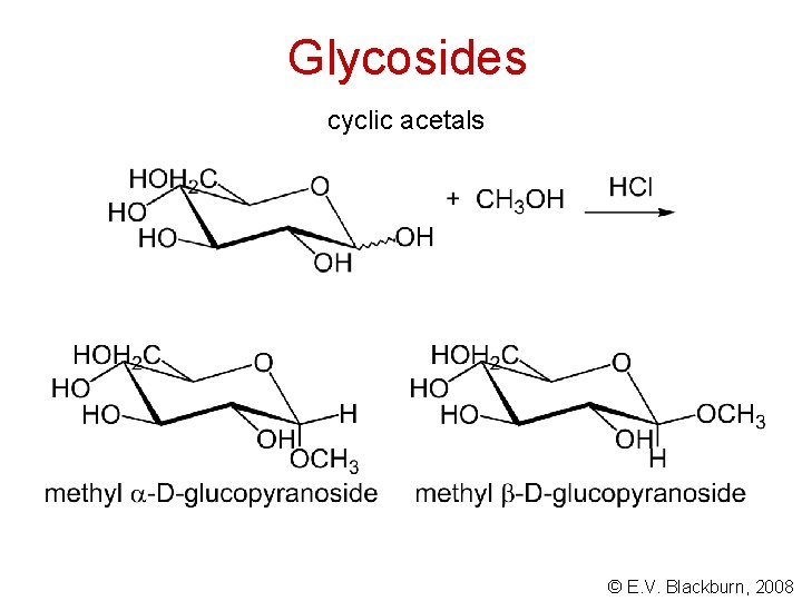 Glycosides cyclic acetals © E. V. Blackburn, 2008 
