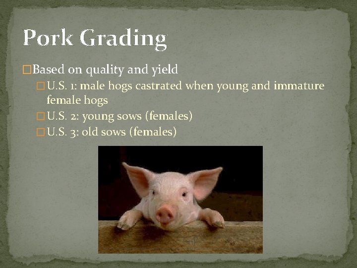 Pork Grading �Based on quality and yield � U. S. 1: male hogs castrated