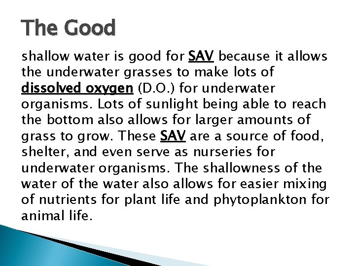 The Good shallow water is good for SAV because it allows the underwater grasses