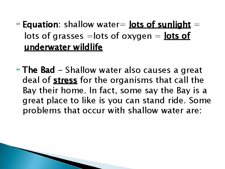  Equation: shallow water= lots of sunlight = lots of grasses =lots of oxygen