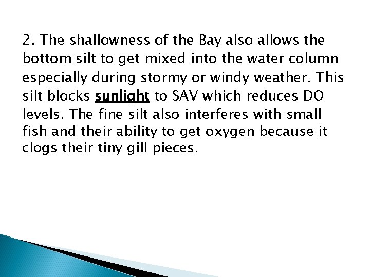 2. The shallowness of the Bay also allows the bottom silt to get mixed