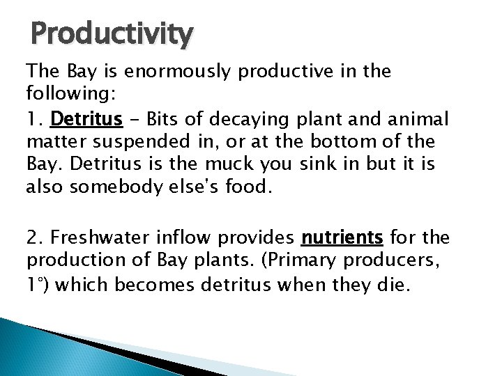 Productivity The Bay is enormously productive in the following: 1. Detritus - Bits of