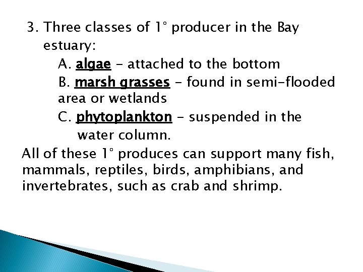 3. Three classes of 1° producer in the Bay estuary: A. algae - attached