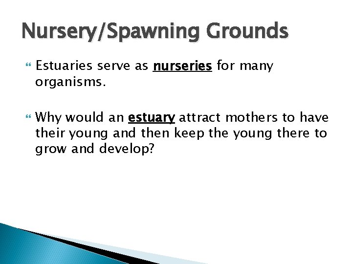 Nursery/Spawning Grounds Estuaries serve as nurseries for many organisms. Why would an estuary attract