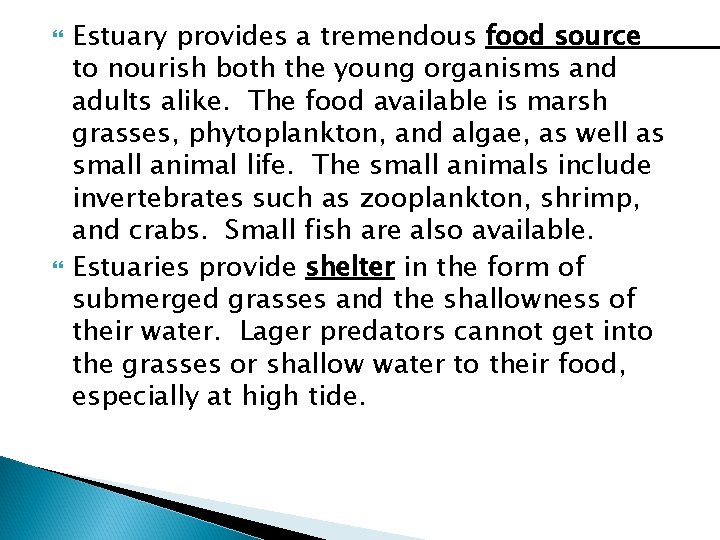  Estuary provides a tremendous food source to nourish both the young organisms and