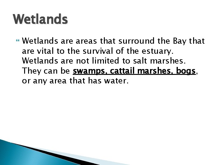 Wetlands areas that surround the Bay that are vital to the survival of the