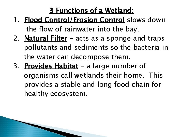 3 Functions of a Wetland: 1. Flood Control/Erosion Control slows down the flow of