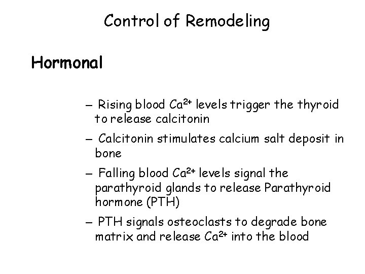Control of Remodeling Hormonal – Rising blood Ca 2+ levels trigger the thyroid to