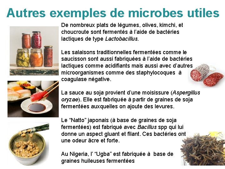 Autres exemples de microbes utiles De nombreux plats de légumes, olives, kimchi, et choucroute