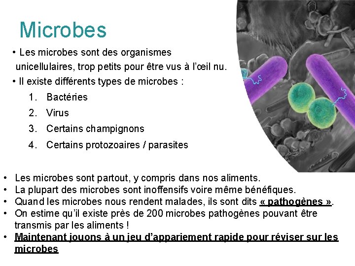 Microbes • Les microbes sont des organismes unicellulaires, trop petits pour être vus à