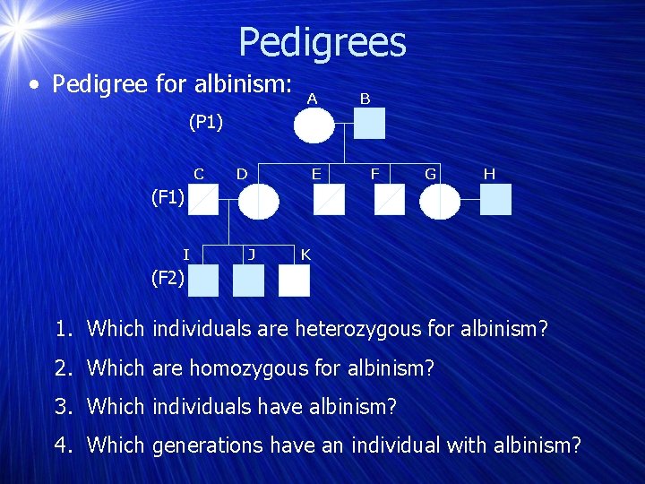 Pedigrees • Pedigree for albinism: A B (P 1) C D E F G