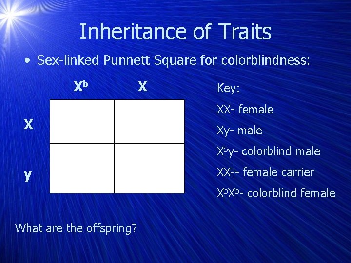 Inheritance of Traits • Sex-linked Punnett Square for colorblindness: Xb X X Key: XX-