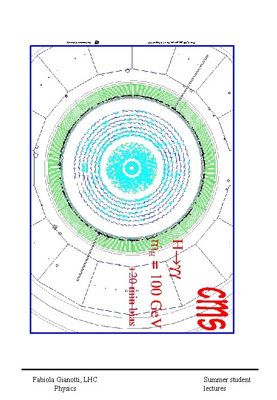 Fabiola Gianotti, LHC Physics Summer student lectures 