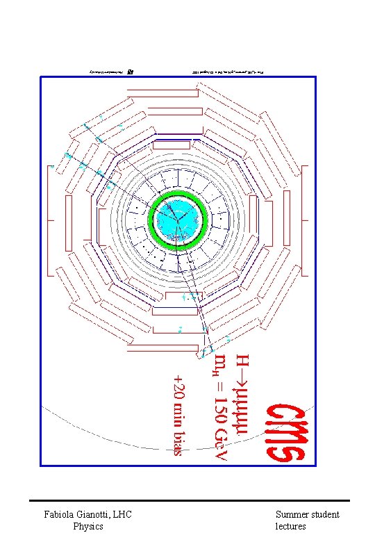 Fabiola Gianotti, LHC Physics Summer student lectures 