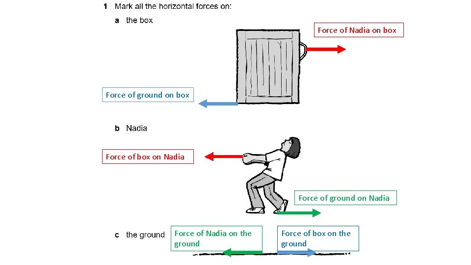 Force of Nadia on box Force of ground on box Force of box on
