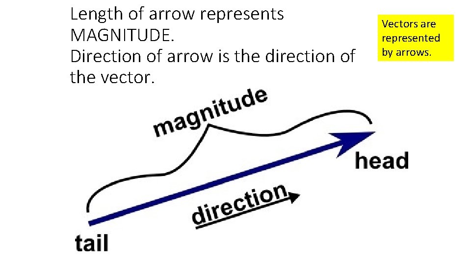 Length of arrow represents MAGNITUDE. Direction of arrow is the direction of the vector.
